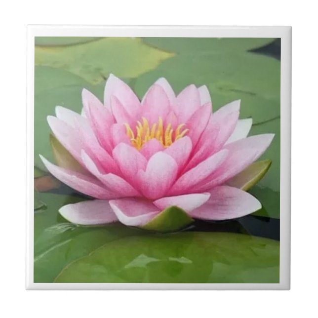 Bangladesh National Flower  Ceramic Tile (Front)