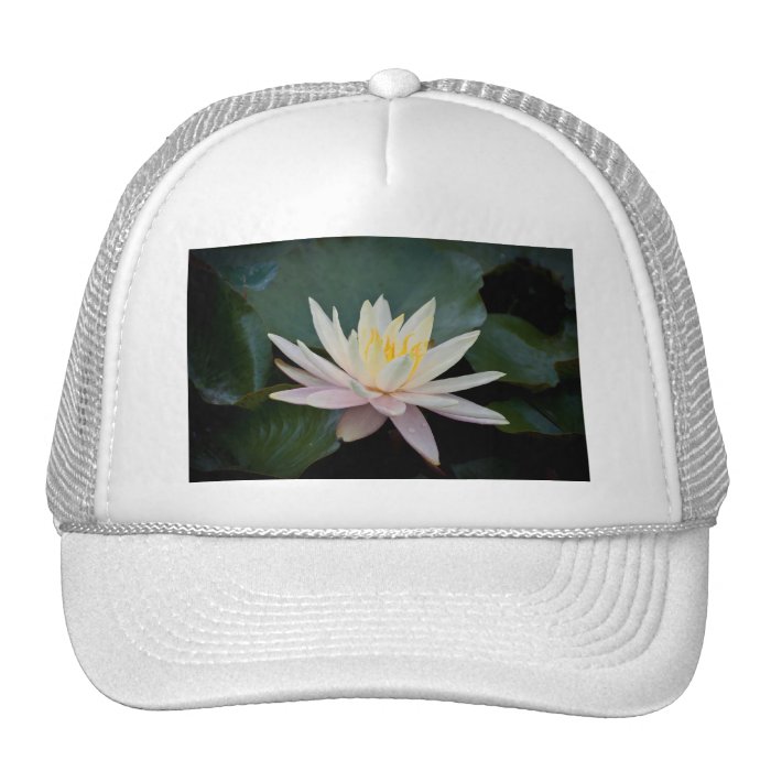 Bangladesh Water Lily Trucker Hats