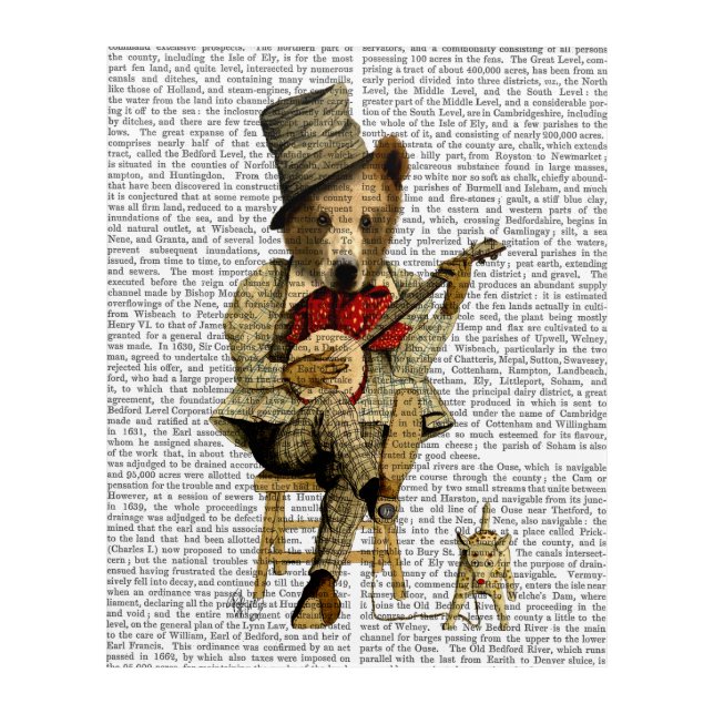 Banjo Bear Acrylic Print (Front)