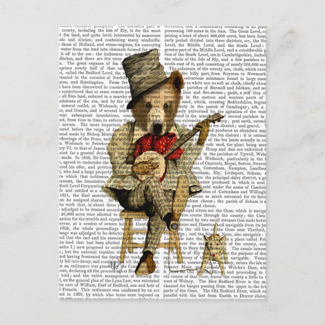 Banjo Bear Postcard (Front)