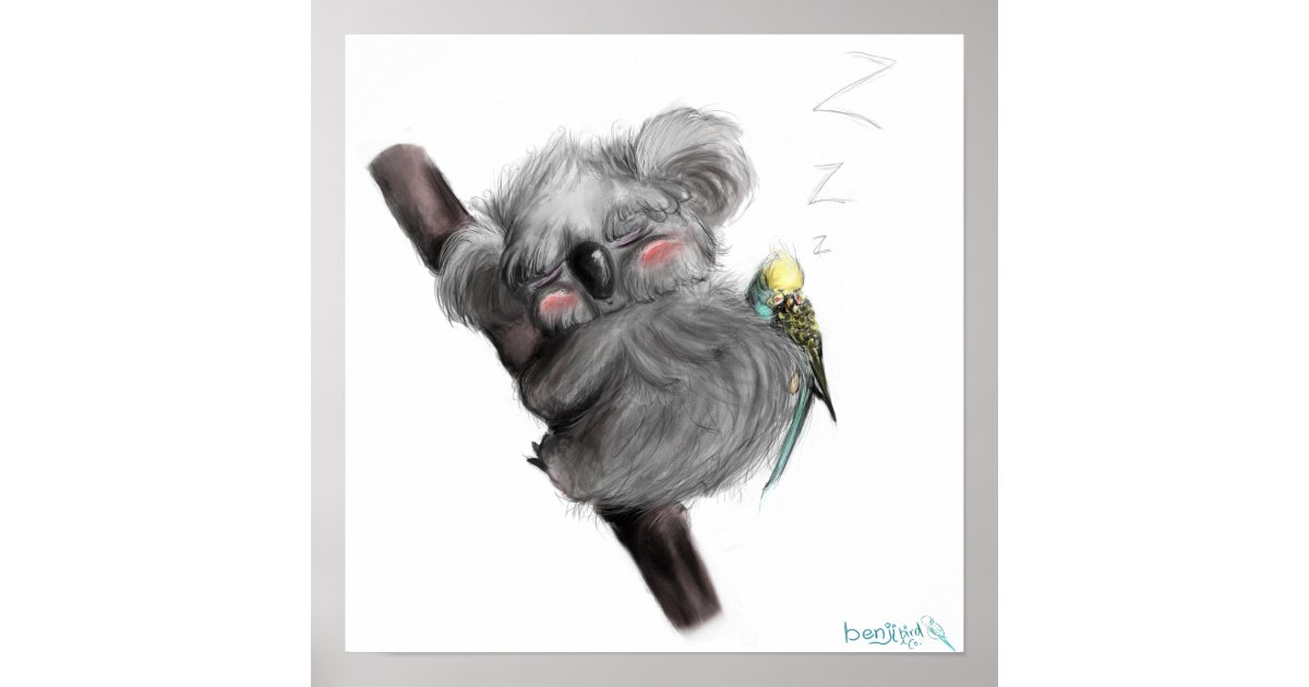 benji koala medium