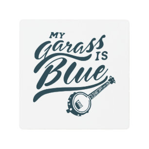 Banjo My Glass is Blue Metal Print