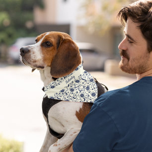 Banjos Blue and Cream Folk Art Patterned Pet Bandana Collar