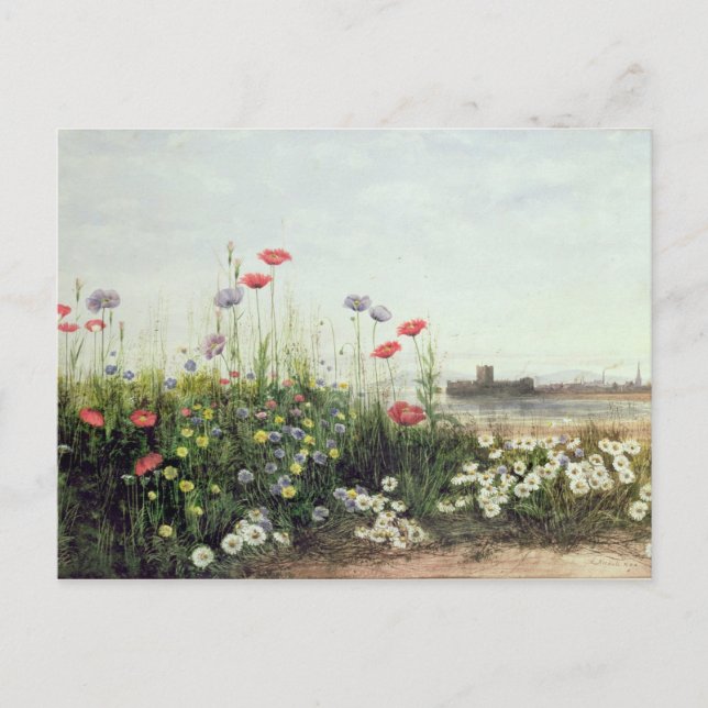 Bank of Summer Flowers Postcard (Front)