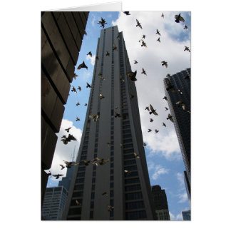 Bank One Plaza Escape Cards