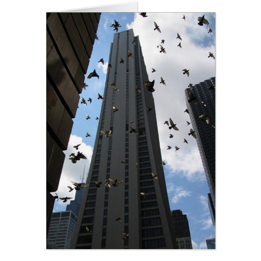 Bank One Plaza Escape Cards (Front)