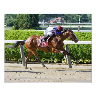 Bank Sting Winning the Critical Stakes Photo Print