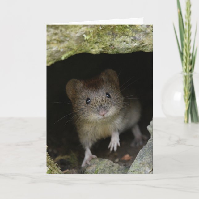 Bank vole card (Front)