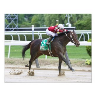 Bankit Winning The Commentator Stakes Photo Print