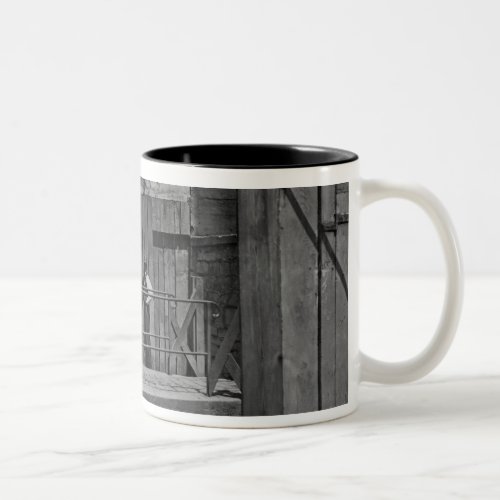 Banks of the Bievre Two_Tone Coffee Mug