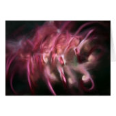 Banksia (Front Horizontal)