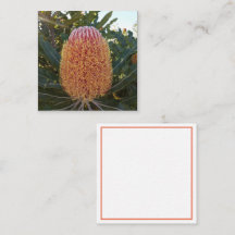 Banksia flower Enclosure Card
