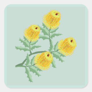 Banksia flowers square sticker