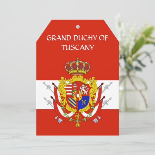 Banner of the Navy Tuscany Medici (Standing Front)