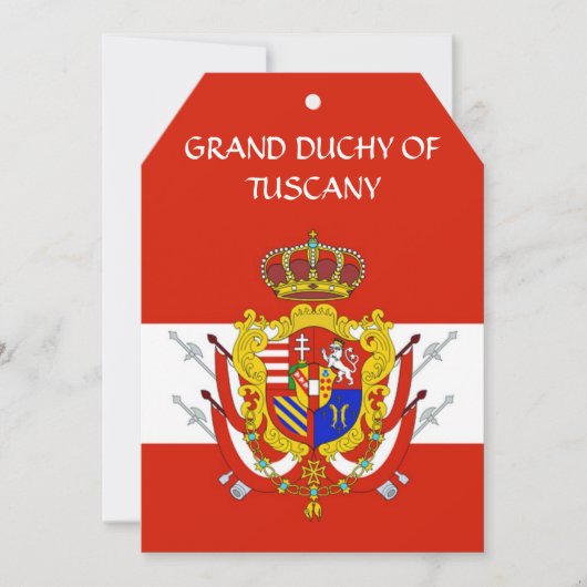 Banner of the Navy Tuscany Medici (Front)