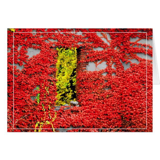 Bannerman's Window Cards (Front Horizontal)
