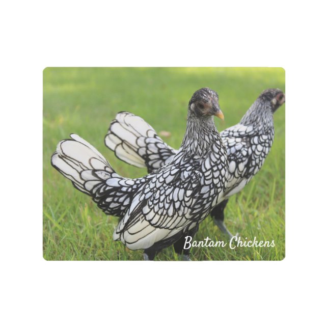 Bantam Chicken Metal Wall Art Collectors BLK WHT (Front)