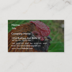 Bantam Hen Animal Business Card