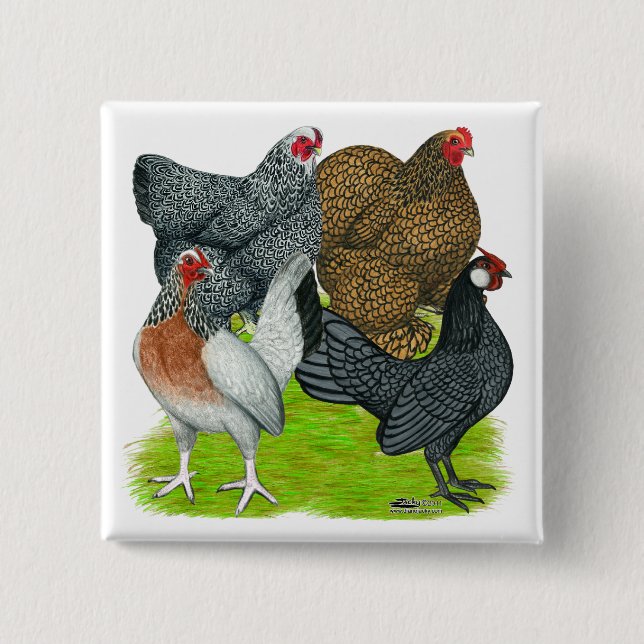 Bantam Hen Quartet Button (Front)