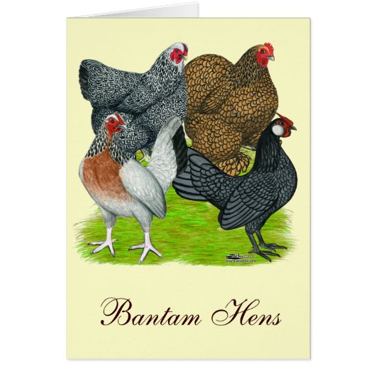 Bantam Hen Quartet Cards (Front)
