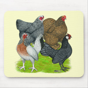 Bantam Hen Quartet Mouse Pad