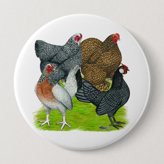 Bantam Hen Quartet Pinback Button (Front)