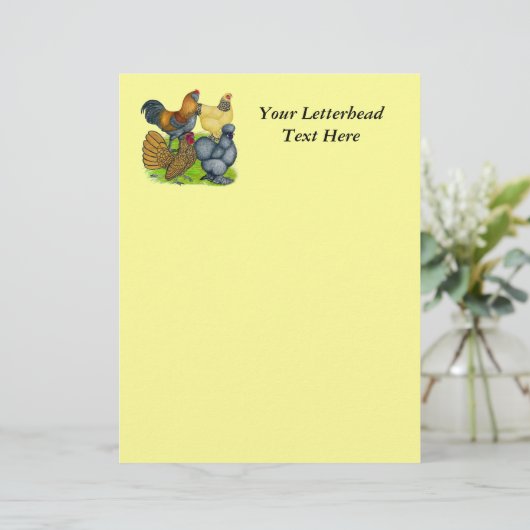 Bantam Quartet (Standing Front)