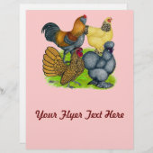 Bantam Quartet (Front/Back)