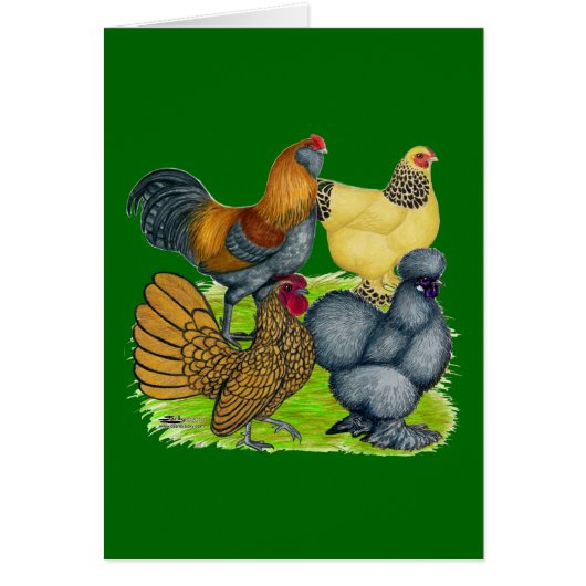 Bantam Quartet Cards (Front)
