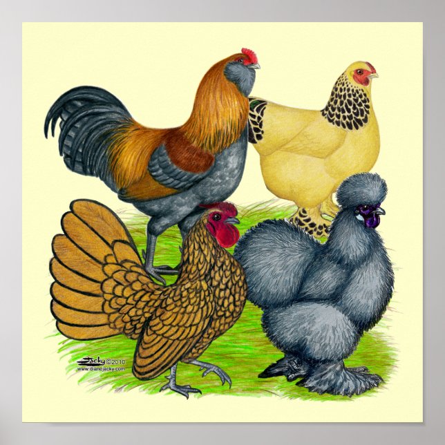 Bantam Quartet Poster (Front)