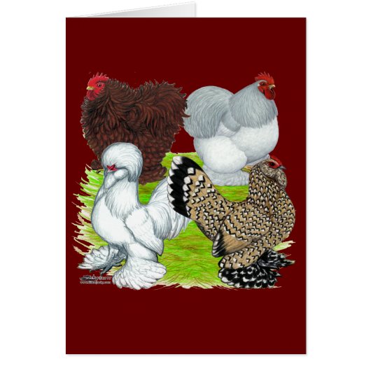 Bantams Feather Legged Cards (Front)