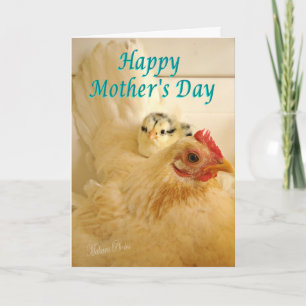 Banty hen & chick card