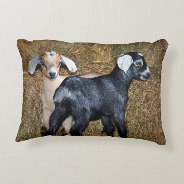 Bany Goats  Accent Pillow (Back)