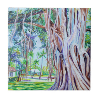 Banyan Tree at Waimea Plantation Cottages Ceramic Tile