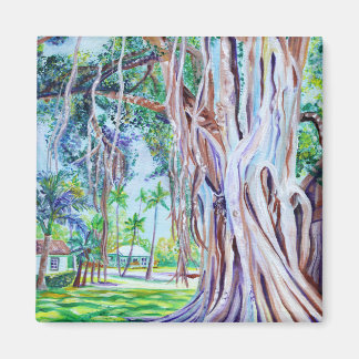 Banyan Tree at Waimea Plantation Cottages Magnet