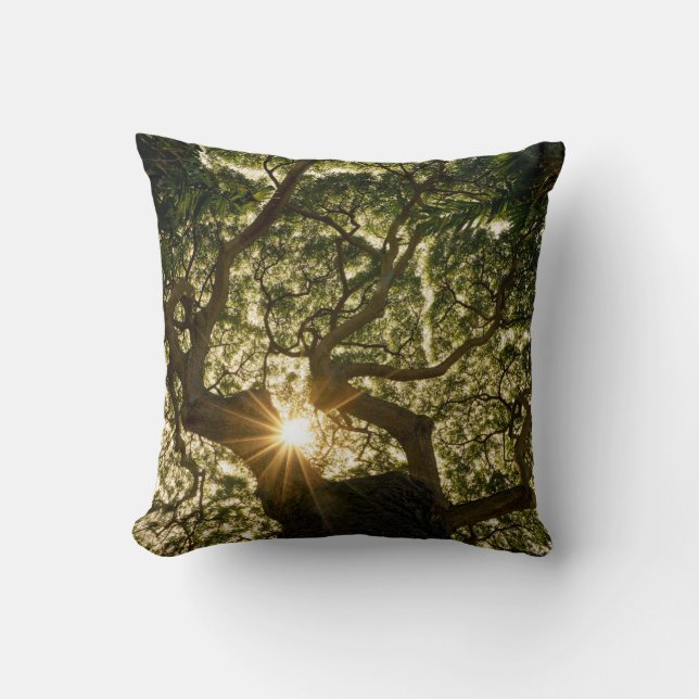 Banyan Tree Canopy Sunstar Throw Pillow (Front)