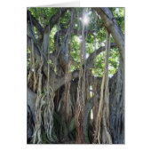 Banyan Tree Cards (Front)