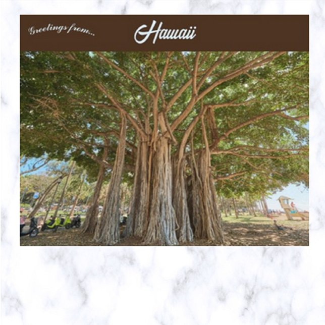 Banyan Tree Queens Beach  In Honolulu Oahu Hawaii Postcard (Creator Uploaded)