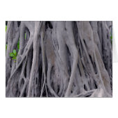 Banyan Tree Trunk (Front Horizontal)