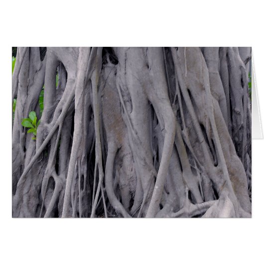 Banyan Tree Trunk Cards (Front Horizontal)