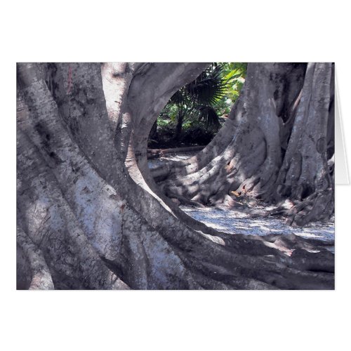 Banyan Trees