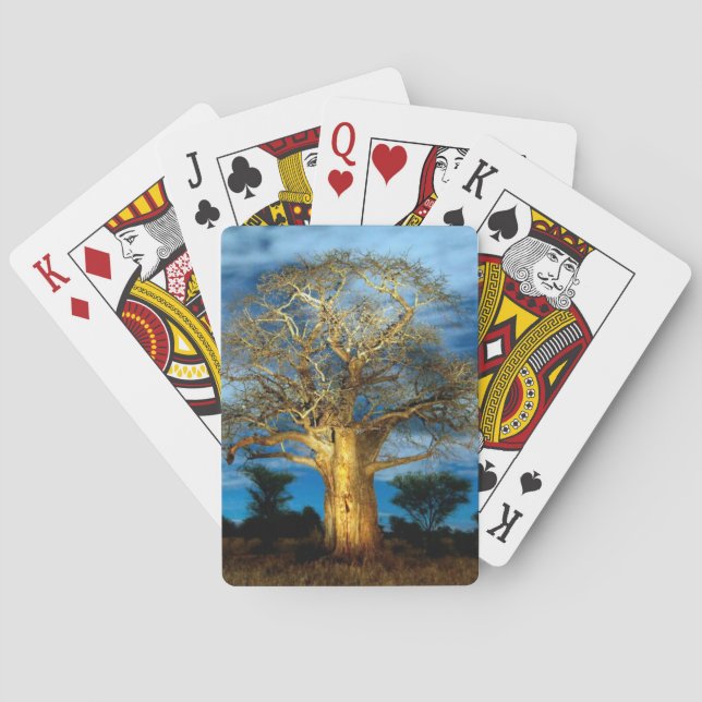 Baobab (Adansonia) Tree Light Up By The Moon Poker Cards (Back)