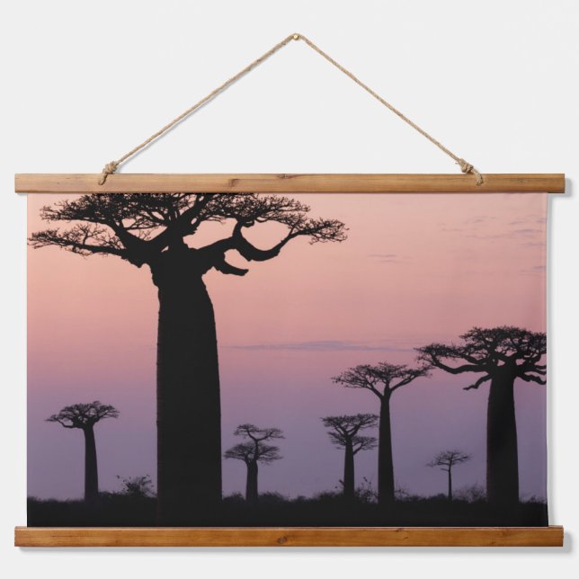 Baobab Alley', Madagascar, Morondava, Africa, Hanging Tapestry (Front)