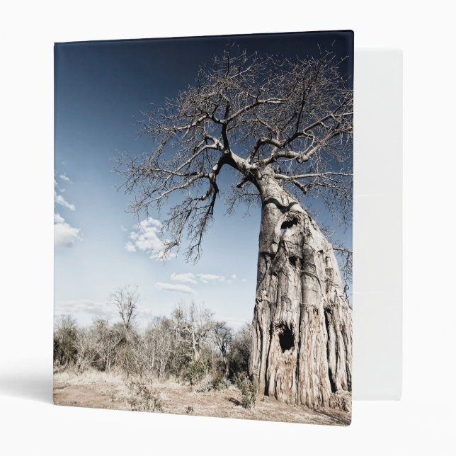 Baobab Tree at Mana Pools National Park, Zimbabwe Binder (Front/Inside)
