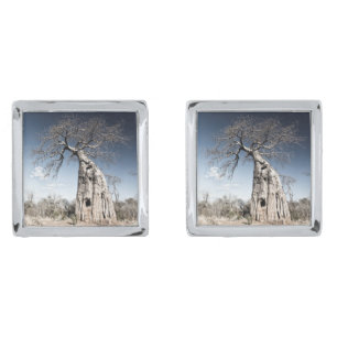 Baobab Tree at Mana Pools National Park, Zimbabwe Cufflinks