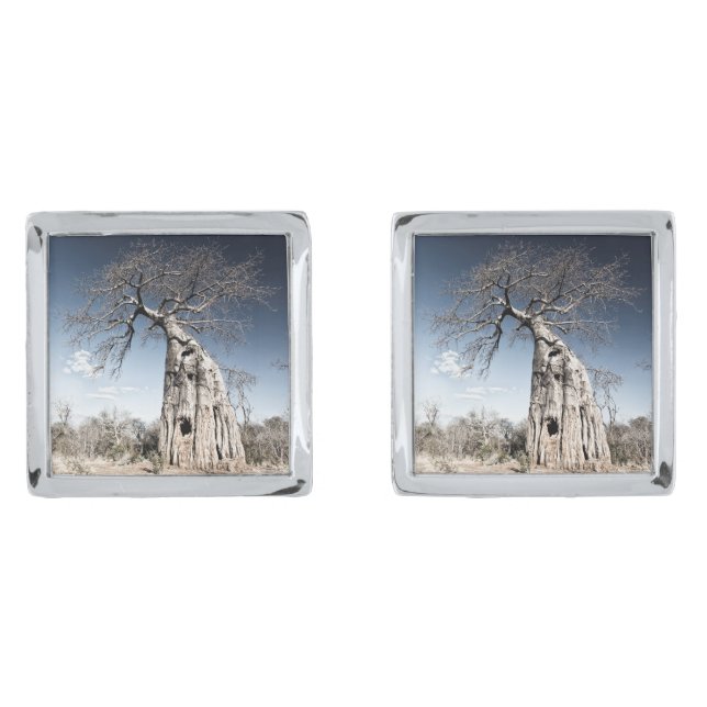 Baobab Tree at Mana Pools National Park, Zimbabwe Cufflinks (Front)