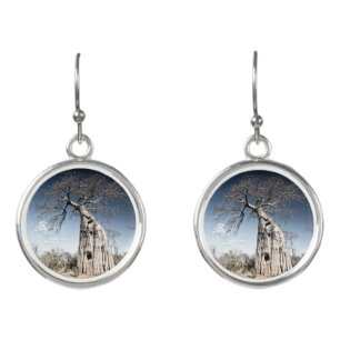 Baobab Tree at Mana Pools National Park, Zimbabwe Earrings