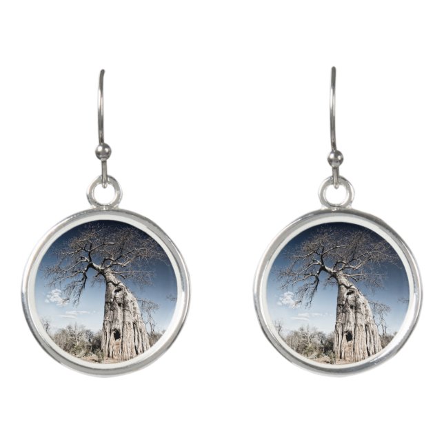 Baobab Tree at Mana Pools National Park, Zimbabwe Earrings (Front)