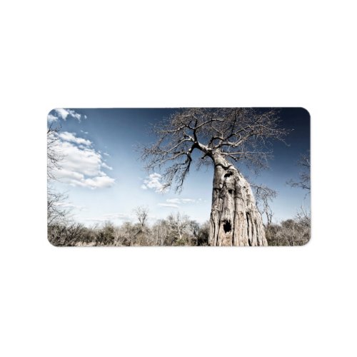 Baobab Tree at Mana Pools National Park Zimbabwe Label