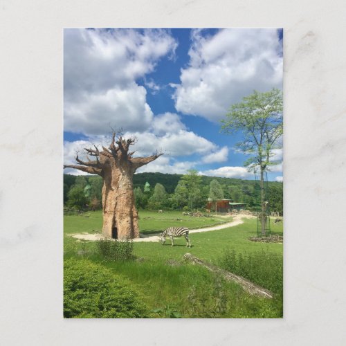 Baobab Tree Branch Personalize Destiny DestinyS Postcard